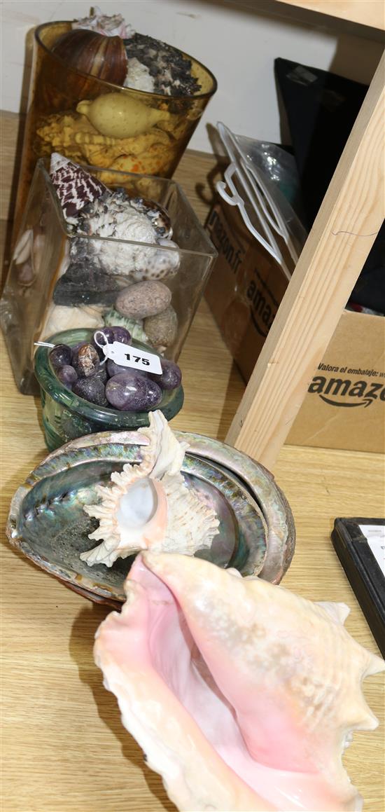 A collection of shells and amethyst quartz pebbles